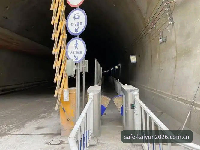 KAIYUN官网安全吗评测 2026KAIYUN官网安全评测完整指南:从技术细节到官方通道的深度解析
